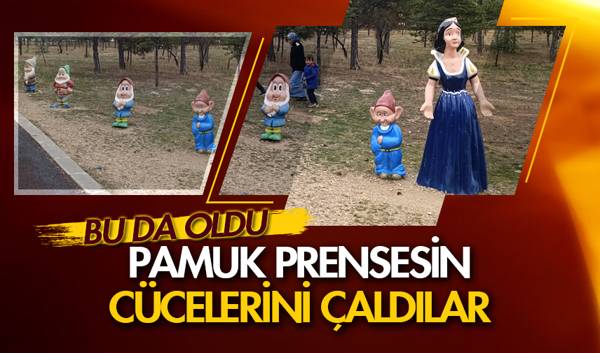 Pamuk Prensesin cücelerini çaldılar